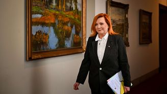 Vláda se rozhodla rozpustit NERV. Máme své vlastní experty, zdůvodnila krok Schillerová Vláda se rozhodla rozpustit NERV. Máme své vlastní experty, zdůvodnila krok Schillerová