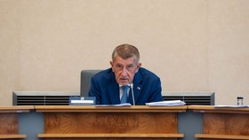 Jednání vlády: Premiér Andrej Babiš (ANO) (27.7.2026)