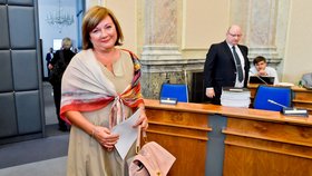 Zasedání vlády ČR (30. 7. 2019)