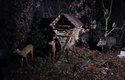 rošku strašidelná výstava Vládci temnot ve Slováckém muzeu v Uherském hradišti odtajňuje, co dělají lesní zvířata v noci