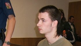 Vladimír Janoušek (19) nedokázal u soudu vysvětlit, proč brutálně umlátil k smrti režiséra ČT Aleše Hermana.
