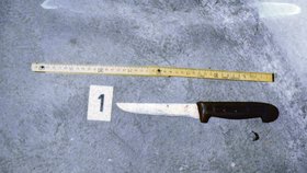 Jeden ze dvou nožů, které vrah použil. 13centimetrová čepel způsobila smrt pěti lidí.