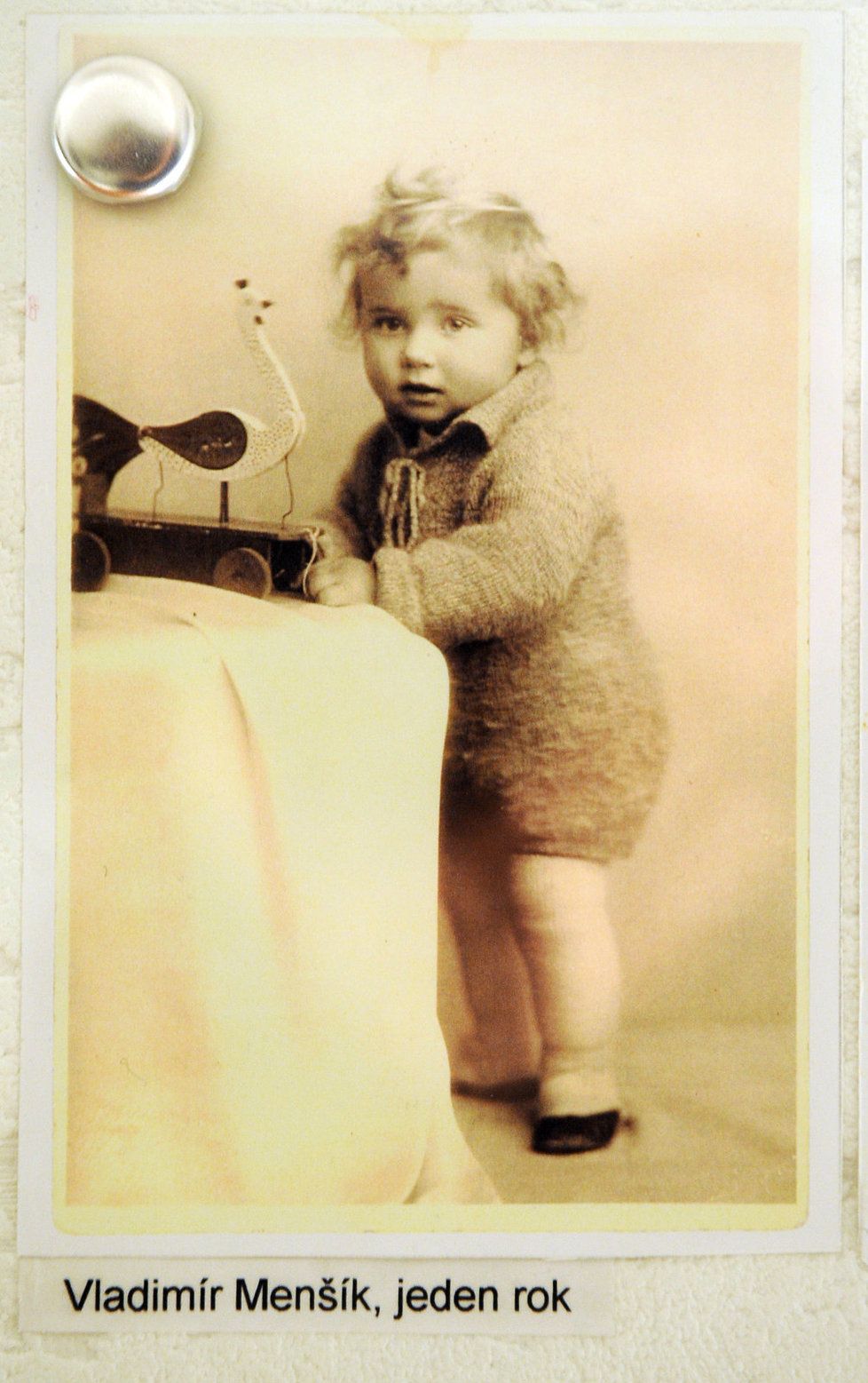 Jako malý byl Vladimír prý moc roztomilé dítě.