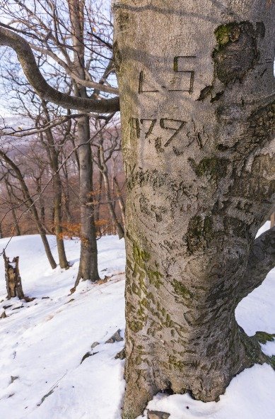 Fotografie ze záhadného slovenského pohoří Tribeč