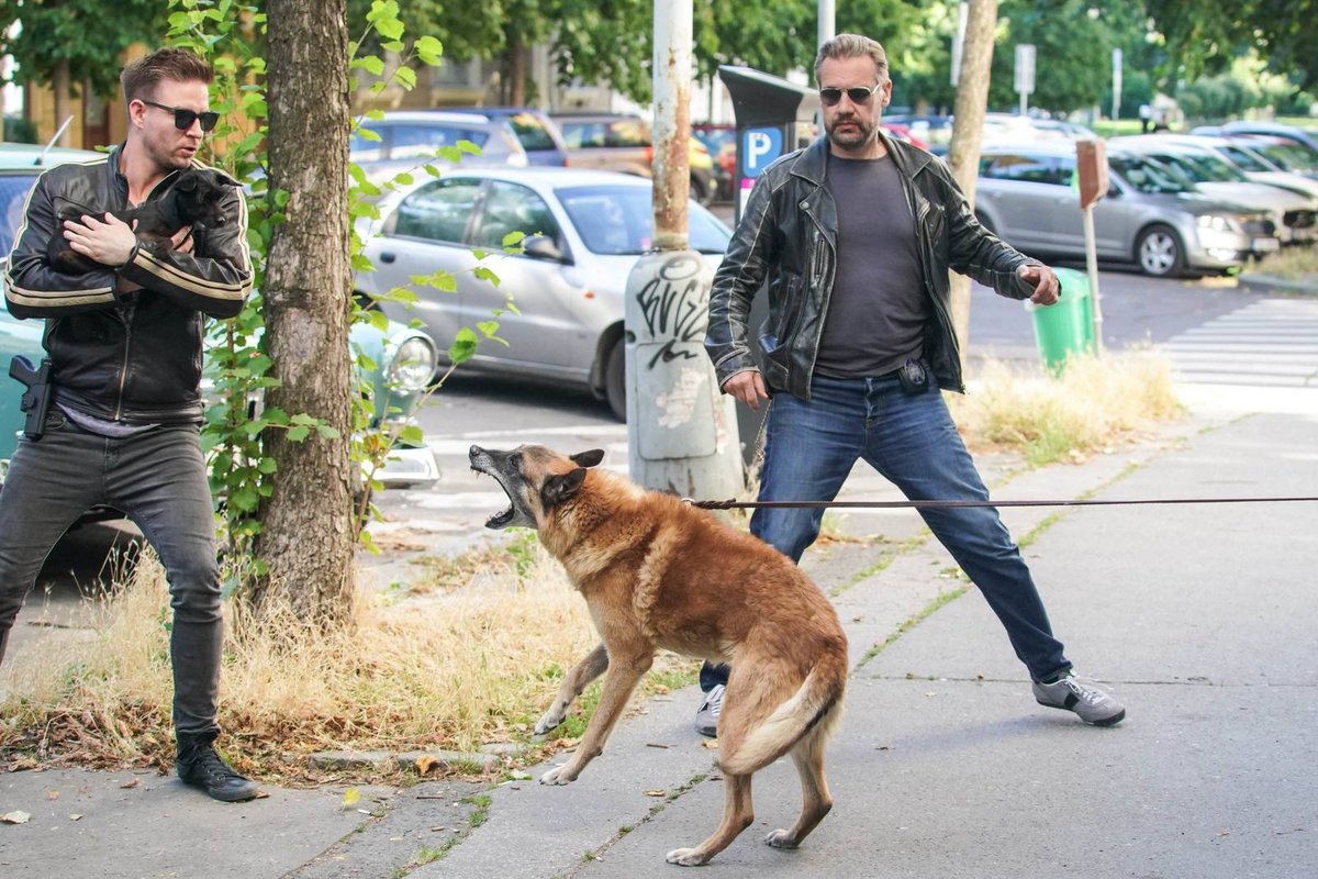 Vladimír Polívka se do psí slečny hned zamiloval.