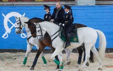 »Superman« Vladimir Putin: PRRRRR! Vzepřel se mu kůň Váňa!