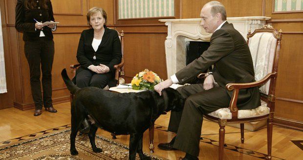 Putin se sejde s Merkelovou, vytáhne opět černého psa? Volat mu bude Trump