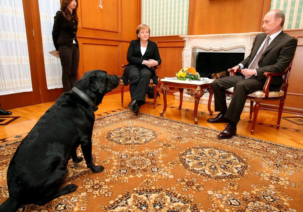 Na jednání Vladimira Putin a Angely Merkelové v roce 2007 v Soči nechyběl velký černý pes