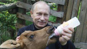 Ruský prezident Vladimir Putin má věřit starému ruskému rituálu, že koupel v jelení krvi přináší zázračné účinky