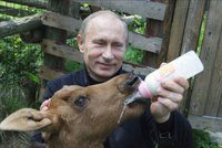 Putin za svou fyzičku vděčí jelení krvi. Prý se v ní koupe a pije ji