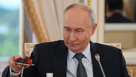 Ruský prezident Vladimir Putin