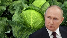 Ruský prezident Vladimir Putin se bojí hladu v Rusku.