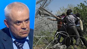 Bývalý premiér a eurokomisař Vladimír Špidla mluvil v Interview ČT24 o EU a uprchlické krizi.