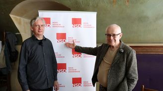 Špidlova Nová sociální demokracie volební průlom nepřinese. Poptávka na politickém trhu ale určitě je Špidlova Nová sociální demokracie volební průlom nepřinese. Poptávka na politickém trhu ale určitě je