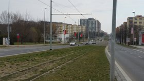 České a čínské vlajky na jedné z nejrušnějších tříd v Praze. Výzdobu na Evropské posvětil magistrát.