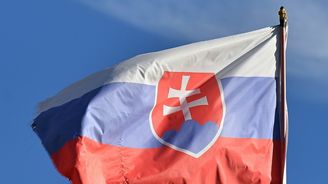 Slovenský úřad prověřuje zákrok proti občanovi ČR, podle Sme ho policista zbil Slovenský úřad prověřuje zákrok proti občanovi ČR, podle Sme ho policista zbil