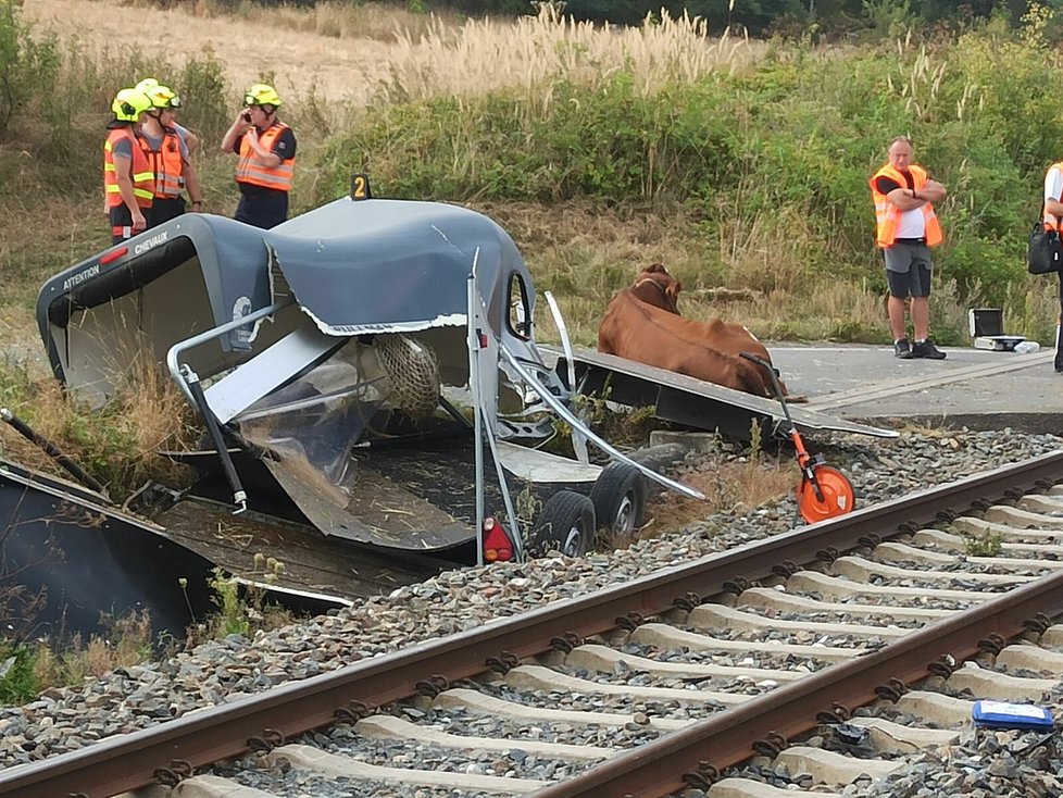 Vlak smetl u Dobřan na Plzeňsku na přejezdu dodávku převážející krávu.