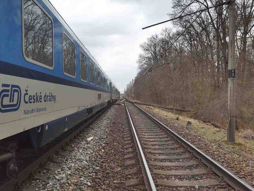 Pád stromu zastavil železniční dopravu na hlavní želenicční trati z Brna na Vídeň a Bratislavu nedaleko Lanžhota na Břeclavsku.Ve vlaku uvízlo 70 cestujících, nikdo se naštěstí nezranil.