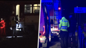 V pátek večer v Partizánském na Slovensku srazil osobní vlak mladou matku (24) a jejího jedenapůlletého synka.