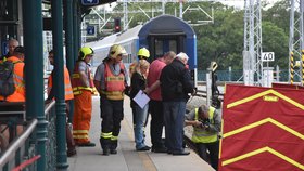 Neštěstí na nádraží v Plzni: Železničář spadl pod vlak, asi nastupoval do vagonu za jízdy