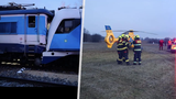 Cestující o srážce vlaků na Českobudějovicku: Vysklená okna a nářek zraněných!