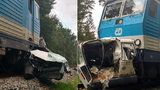 Tragická srážka s vlakem: Na Rychnovsku ji nepřežili dva lidé!