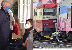 Strojvůdce Petr Vaněk vyvázl z odvolacího řízení kvůli loňské srážce dvou vlaků v Brně s podmínkou. Soud zákaz řízení zrušil.
