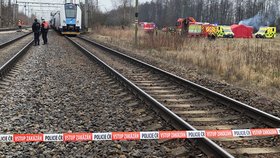 Nehodu způsobilo pravděpodobně to, že strojvůdce rychlíku projel návěstidlo stůj