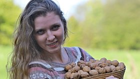 Vlašské ořechy snižují třeba i hladinu „zlého“ cholesterolu.