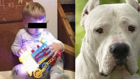 Vlastíka (†1) zabil doma rodinný pes: Kluk psa pořád otravoval, tvrdil majitel u soudu
