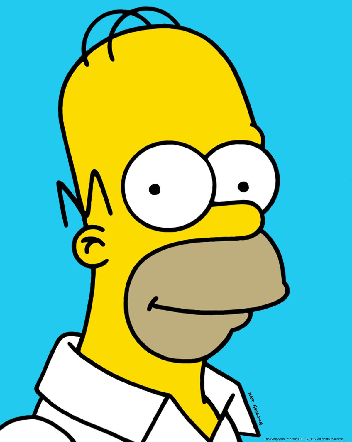 Homer Simpson