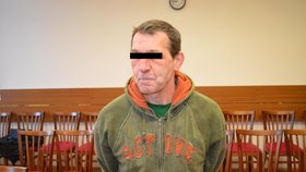 Vlastimil K. (Kouba) čeká u českobudějovického krajského soudu na vynesení rozsudku. Podle obžaloby znásilnil svoji malou neteř a její kamarádku.