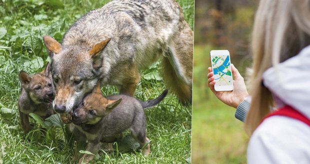 Hledači kešek v Zoo Praha riskují. Hledači kešek v Zoo Praha riskují.