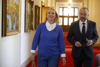 Pavel, Babiš, Černochová... Kdo další má na klopě vlčí mák? Každoroční sbírka na veterány je tu!