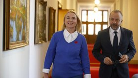 Kdo z politiků nosí symbol vlčího máku na podporu veteránů?