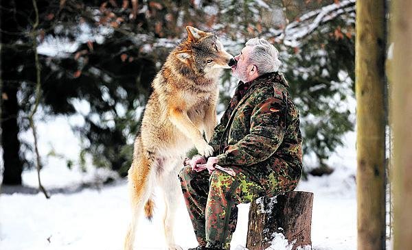 Vlci svého kamaráda milují.