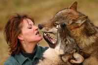Vlčí matka Tanja: Žiju s vlky a vychovávám je jako své děti!