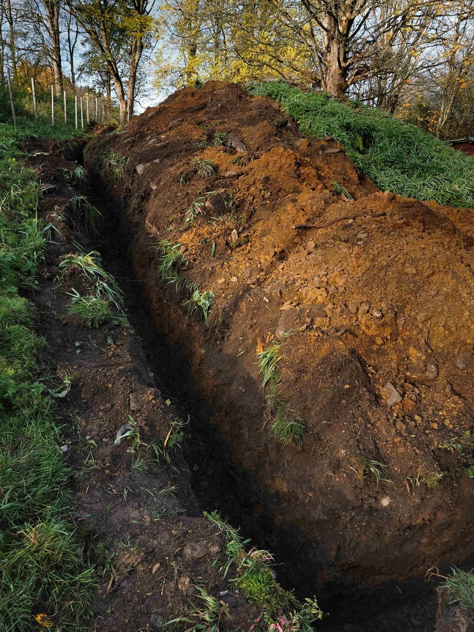 V Záchranné stanici vznikl i speciální výběh.