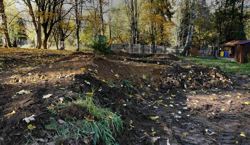 Vlk po operaci chodí po všech čtyřech, přes den spí a v noci šmejdí kolem.