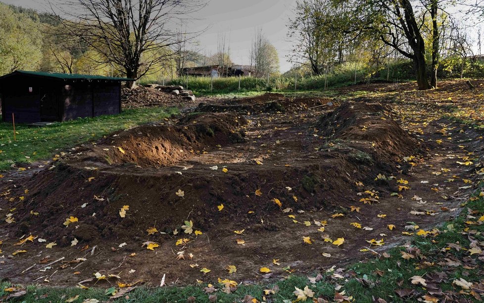 Vlk po operaci chodí po všech čtyřech, přes den spí a v noci šmejdí kolem.