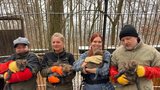 Radost v zoo: Čtveřice vlčat hřivnatých se má čile k světu
