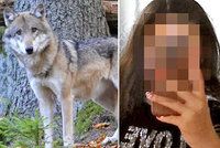 Nikolku (13) napadla divoká šelma! Má jasno její rodina: Roztrhané šaty a vytrhané vlasy mohlo způsobit i docela jiné zvíře, myslí si šéf myslivců