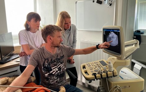 Veterinář Michal Houtke zvíře vyšetřil ultrazvukem.  
