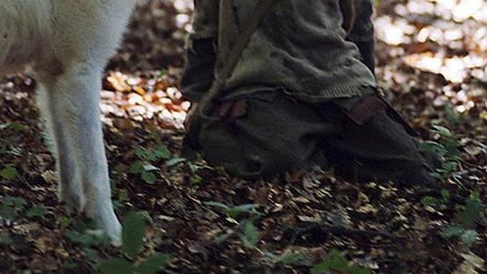 Ilustrační fotografie z filmu Přežít s vlky. Ilustrační fotografie z filmu Přežít s vlky.