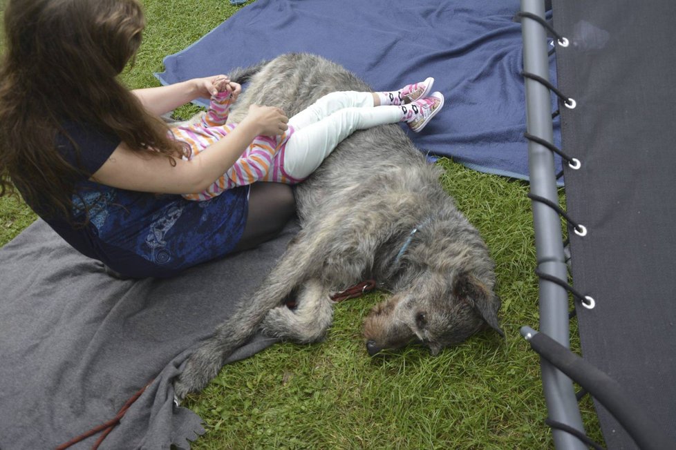 Vlkodav a hudba léčí - s tímto projektem objela Kateřina 165 rodin s handicapovanými dětmi