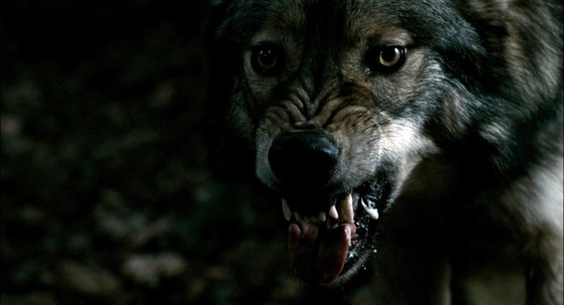 Nemrtvé prázdniny III: Opravdoví vlkodlaci