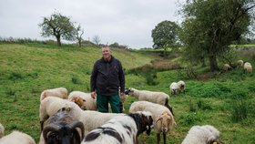Michael Stücke se svým stádem gay ovcí.