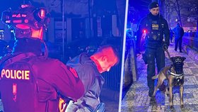 Nebezpečný zloděj se na Andělu vkradl do auta: Policistům ho pomohla vypátrat policejní fenka 