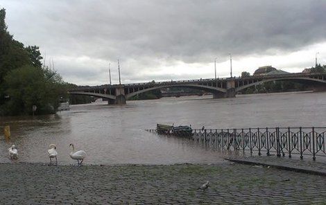 Vltava stala vyšinuté ženě osudnou.