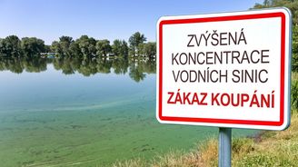 Nebezpečí sinic: Koupání zakázáno! Za zeleně kvetoucí vodní plochy si můžeme sami. Živíme je Nebezpečí sinic: Koupání zakázáno! Za zeleně kvetoucí vodní plochy si můžeme sami. Živíme je